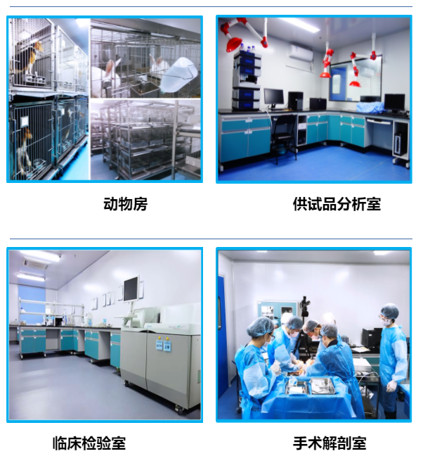 1066vipÍþÄá˹(Öйú)ÓÐÏÞ¹«Ë¾-BinG°Ù¿Æ