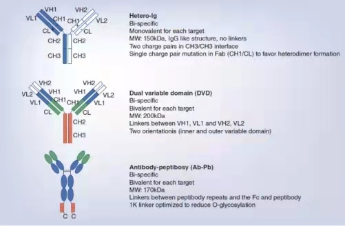 1066vip����˹(�й�)���޹�˾-BinG�ٿ�