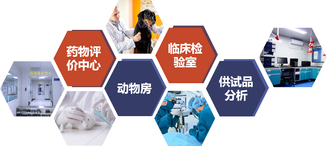 1066vipÍþÄá˹(Öйú)ÓÐÏÞ¹«Ë¾-BinG°Ù¿Æ