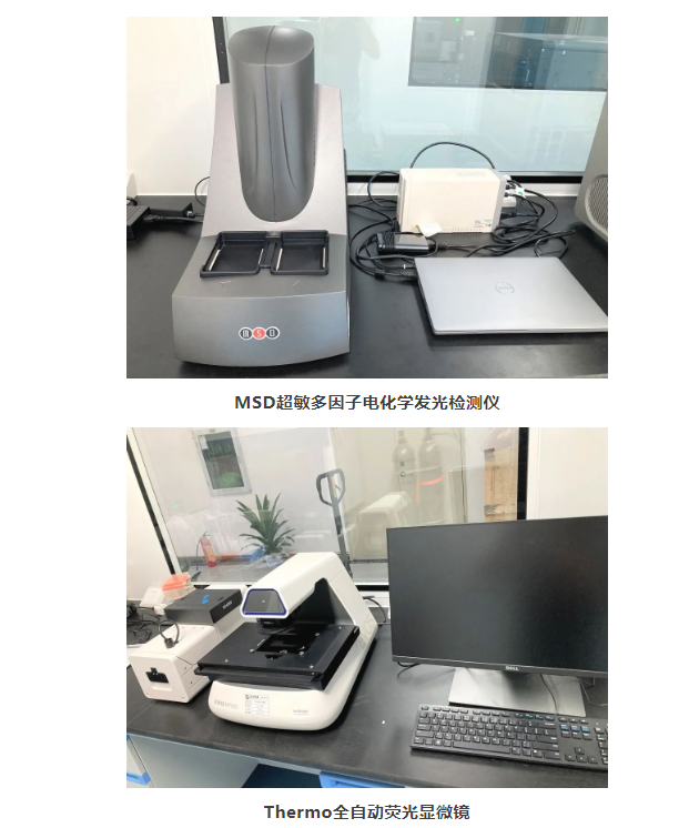 1066vip����˹(�й�)���޹�˾-BinG�ٿ�