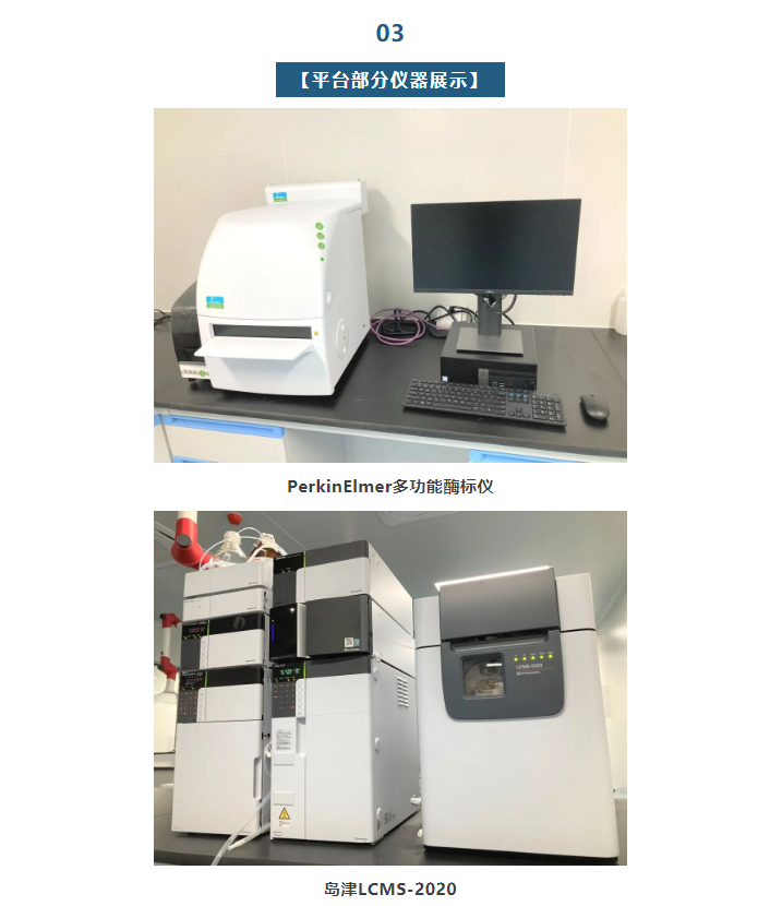 1066vip����˹(�й�)���޹�˾-BinG�ٿ�