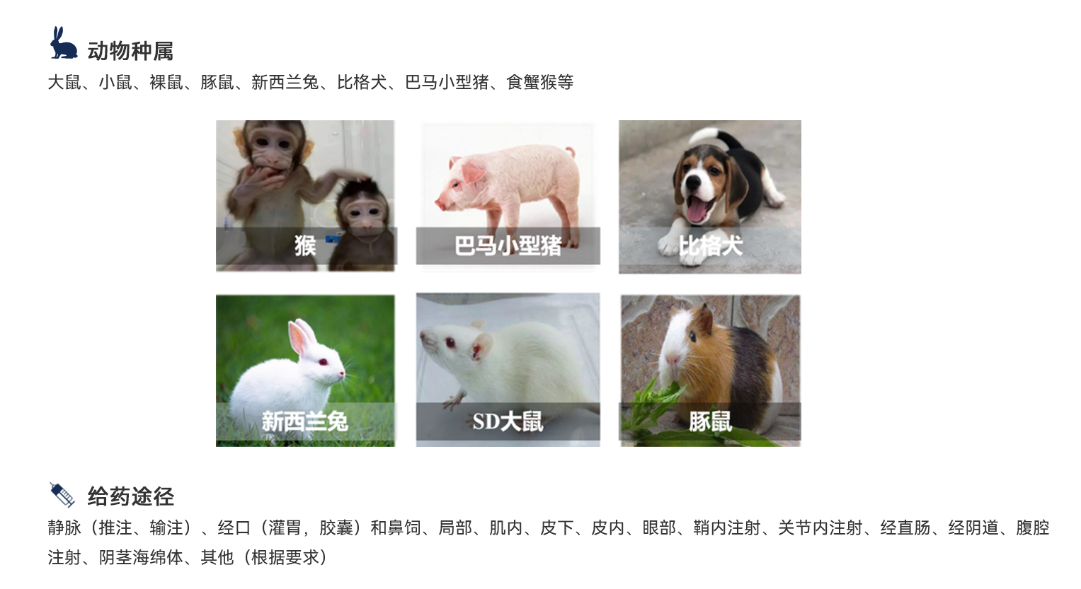 1066vip����˹(�й�)���޹�˾-BinG�ٿ�