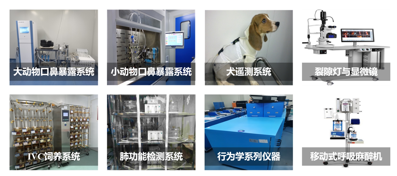 1066vip����˹(�й�)���޹�˾-BinG�ٿ�