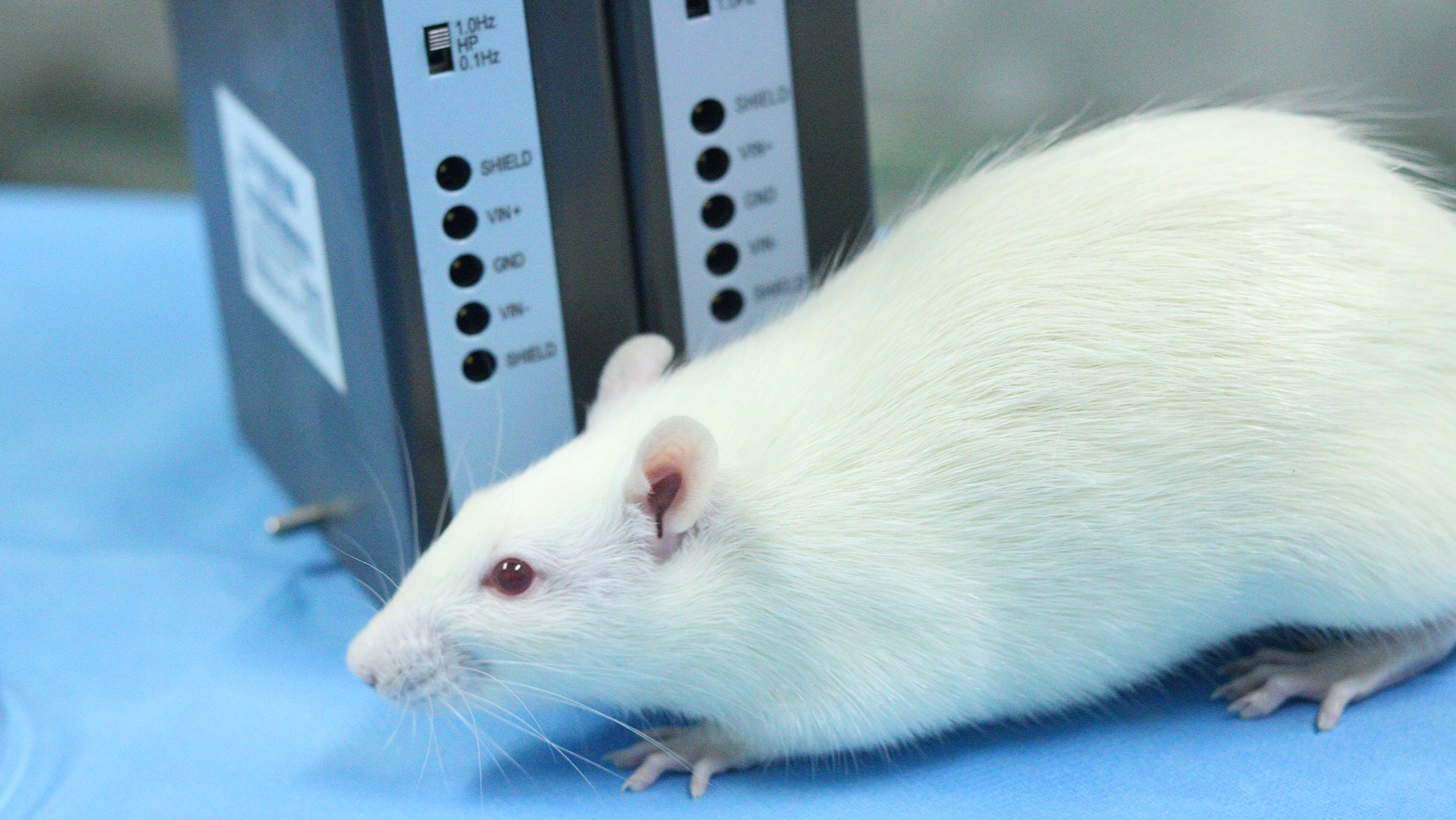 ����ϵͳ����ģ��